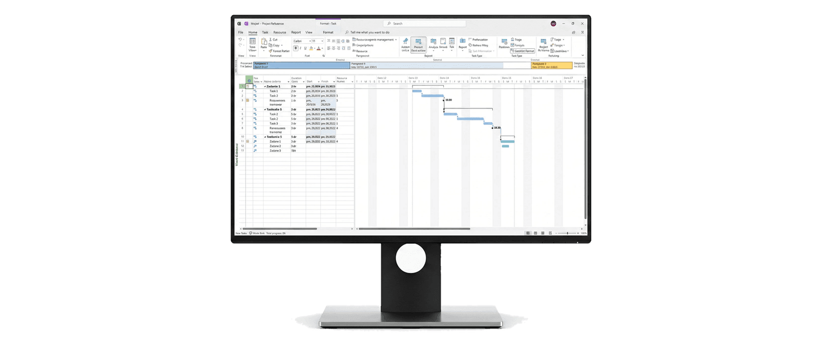 Microsoft Project 2021 Professional
