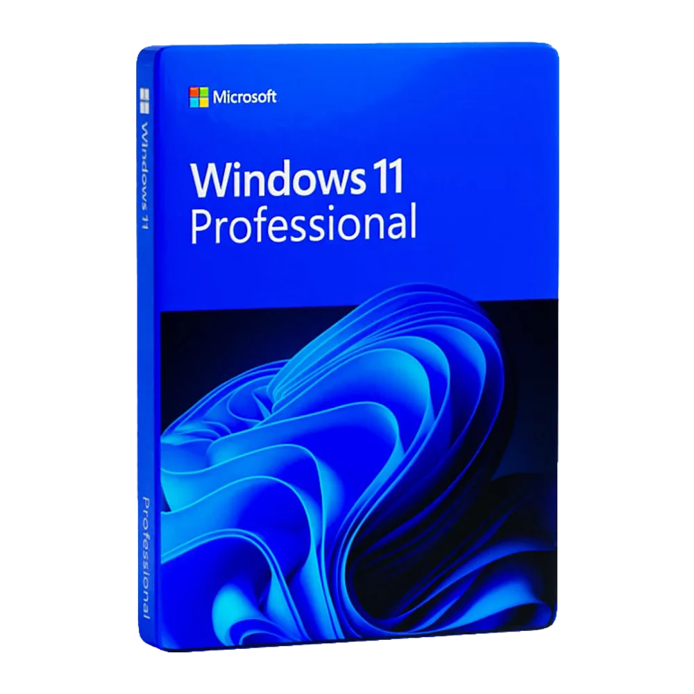 Microsoft Windows 11 Professional