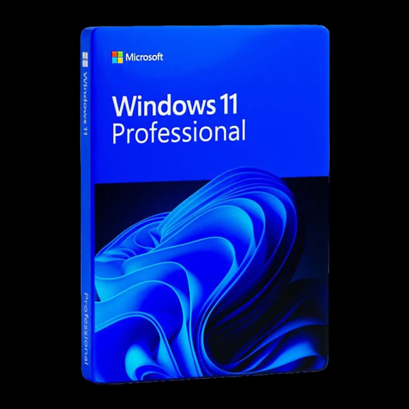 Microsoft Windows 11 Professional