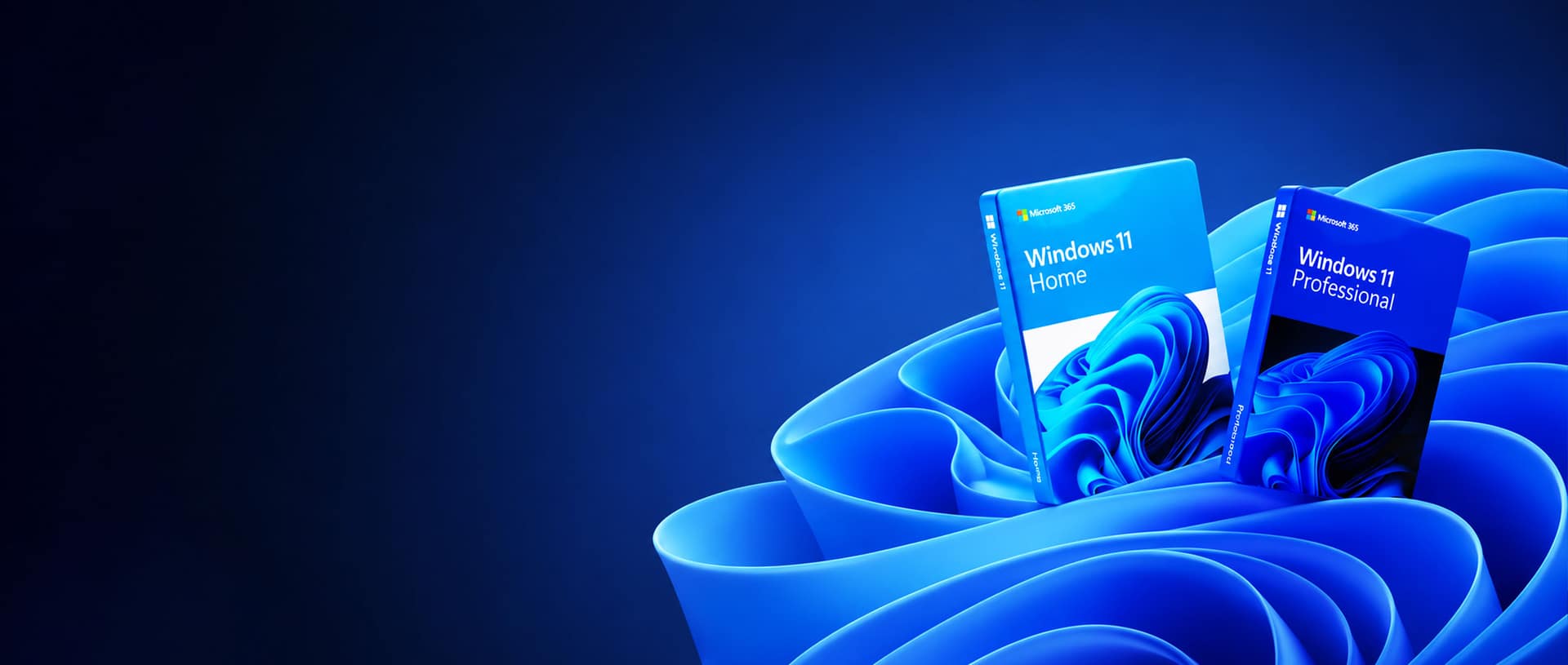Microsoft Windows 11